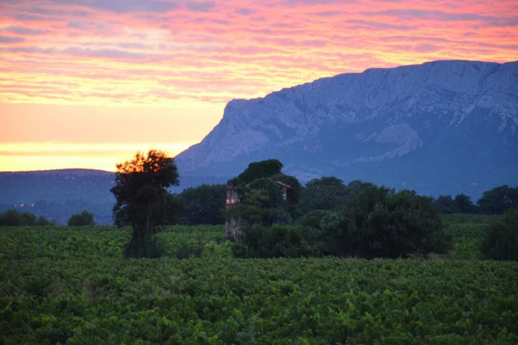 Vue Sainte Victoire, Proche Aix-En-Provence Apartment Pourrieres Luaran gambar